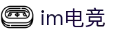 im电竞·(中国)电子竞技平台