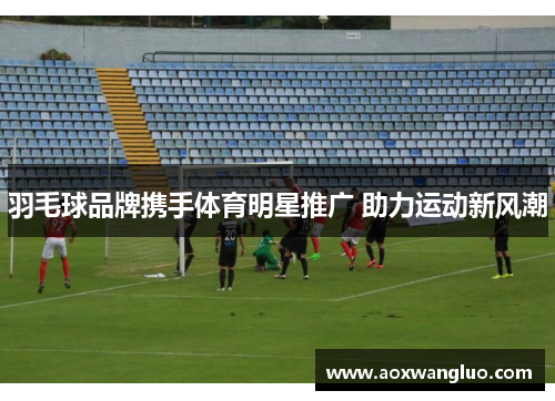 羽毛球品牌携手体育明星推广 助力运动新风潮